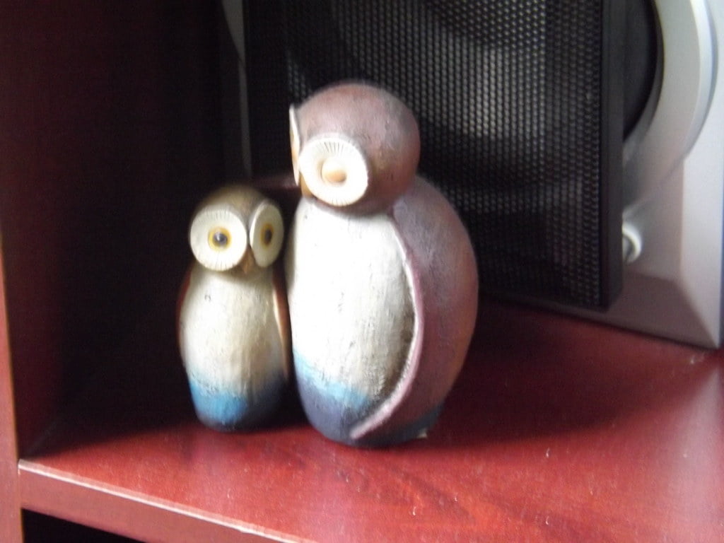 Parent and child